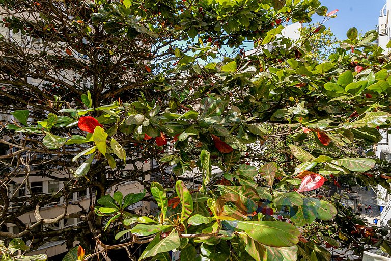 Lujo en Copacabana Cerca de la Playa | BI 115/501