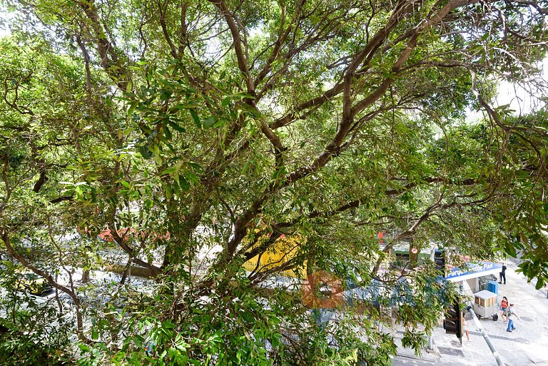 Modern 3BDR 4min from the beach | FS 51/301