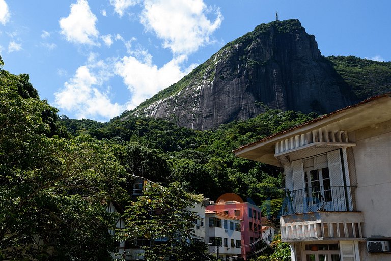 Oasis en el corazón del Jardín Botánico | AR 42/301